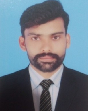 Amir Hamza