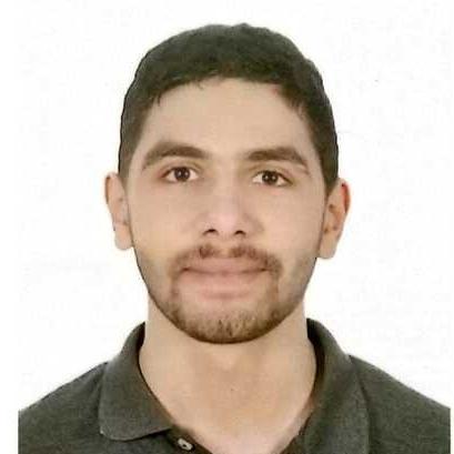 Ahmed Abdin