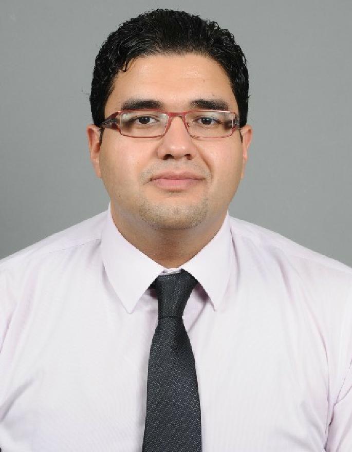 Mohamed Hamzawi
